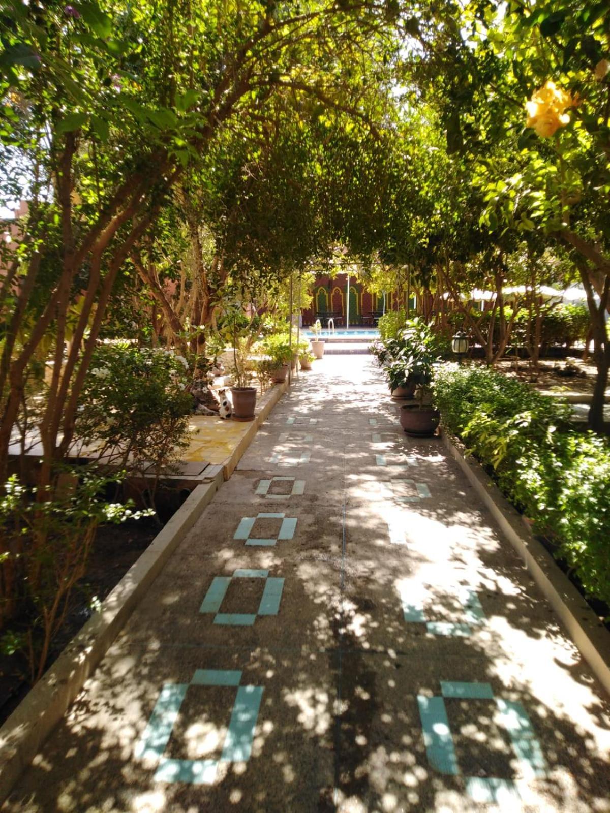 Riad Les Jardins Mabrouk Тарудант Экстерьер фото